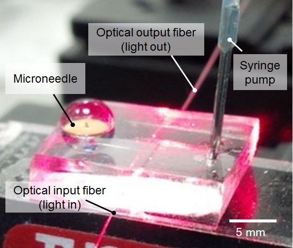 An image of the microneedle device